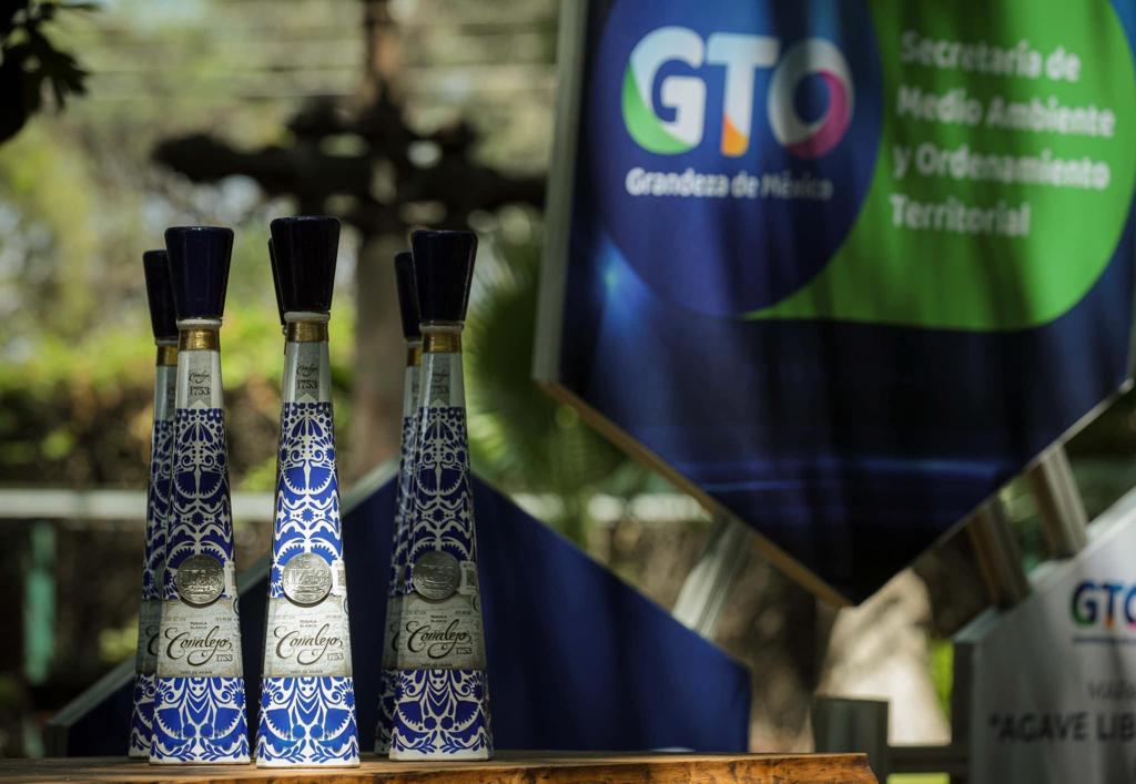 Guanajuato produce Tequila sustentable