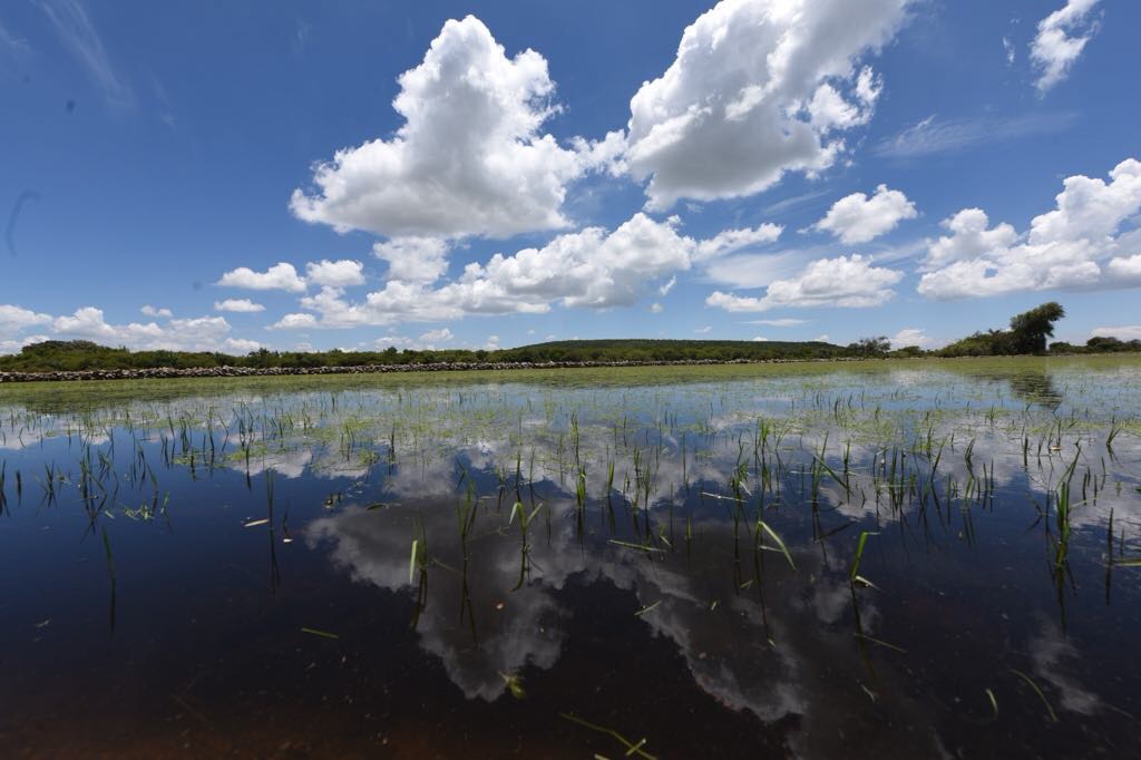 Convocan en Irapuato a capturar la magia de la naturaleza