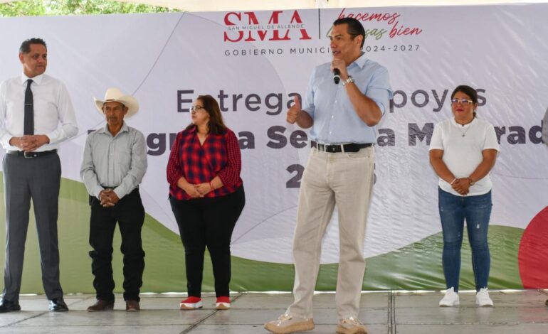 El campo sanmiguelense florece con el Programa Semilla Mejorada 2025
