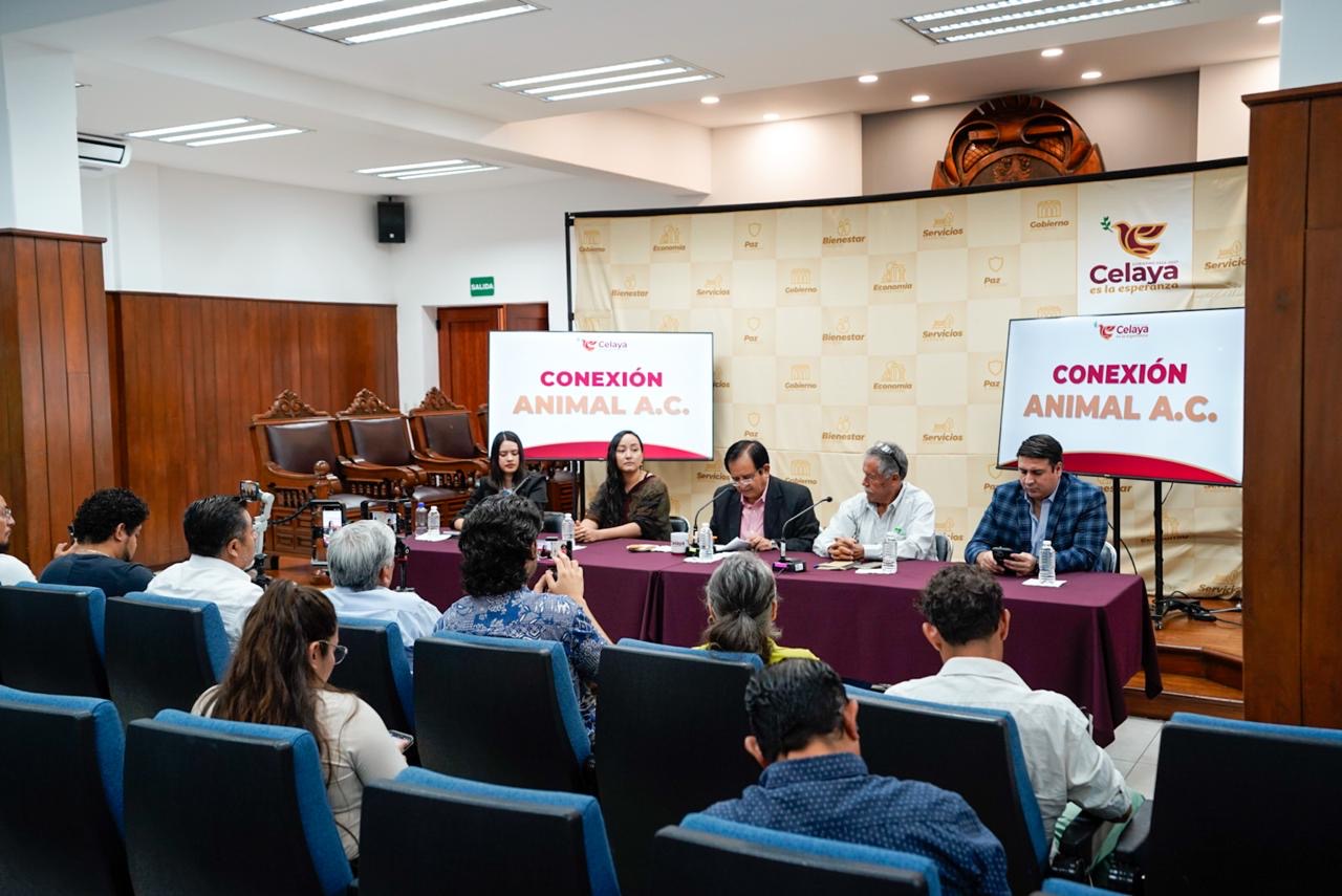 Implementan acciones para la protección y el bienestar animal
