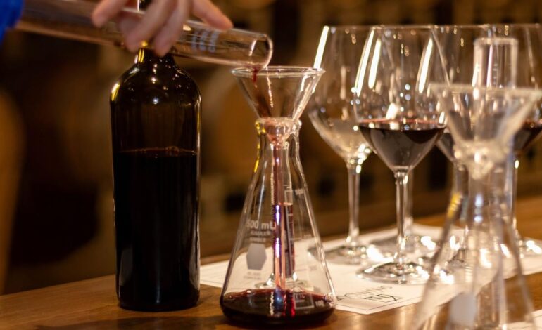 Ganan vinos de Guanajuato premios en los Decanter World Wine Awards 2025