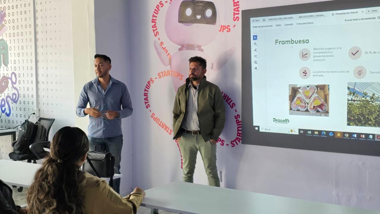 Presentan nuevas oportunidades de exportación para productores de berries