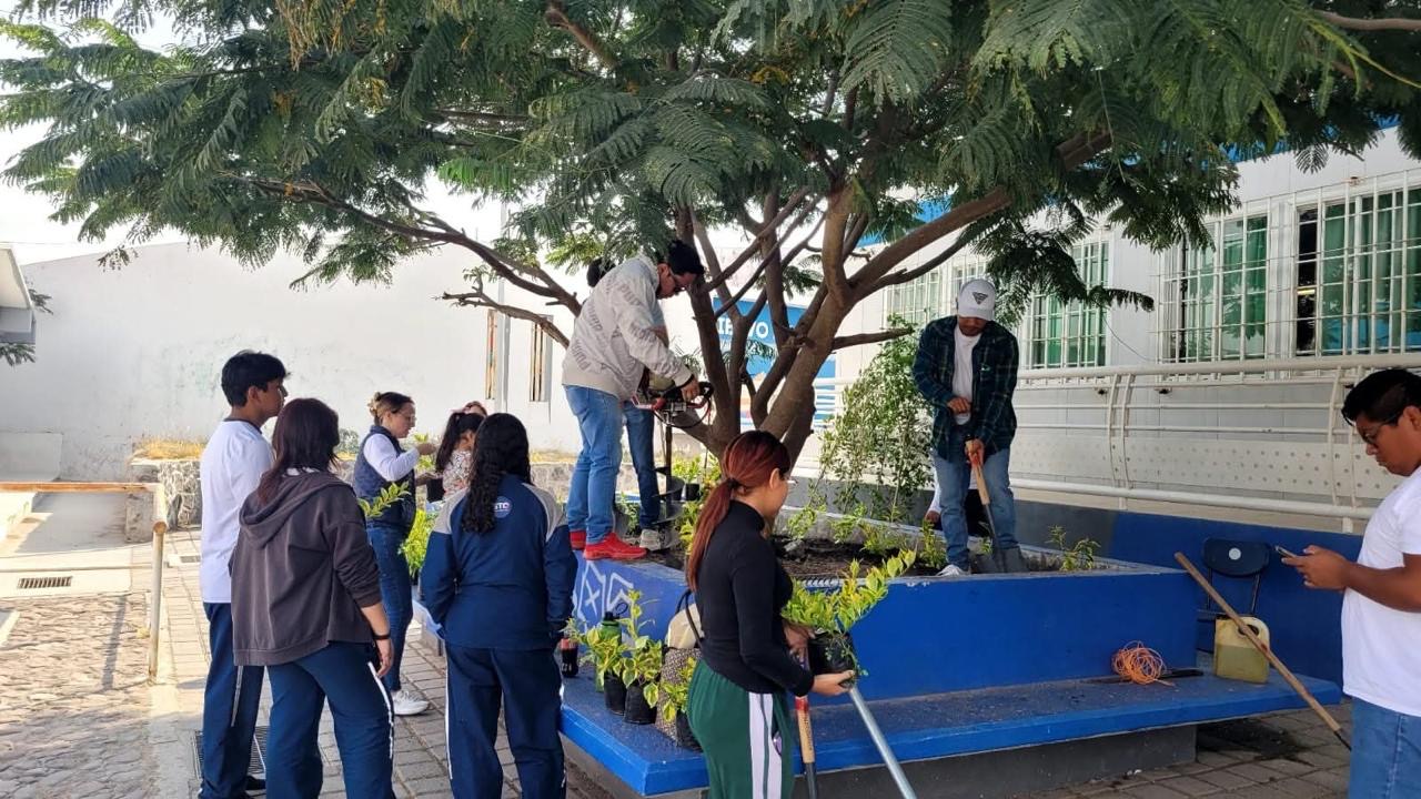 Cierra Ecología el año con más de 8 mil plantas reforestadas en Apaseo el Grande