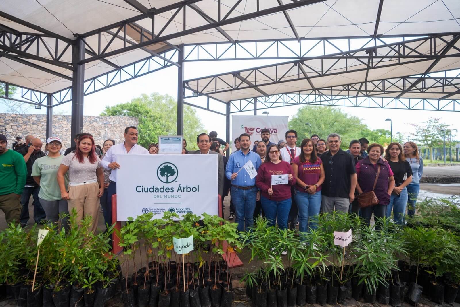 Conmemoran día mundial de Medio Ambiente con jornada de adopción de árboles