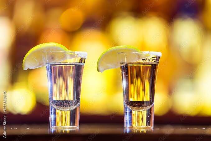 Guanajuato fortalece su liderazgo como referente nacional en la producción de agave tequilero
