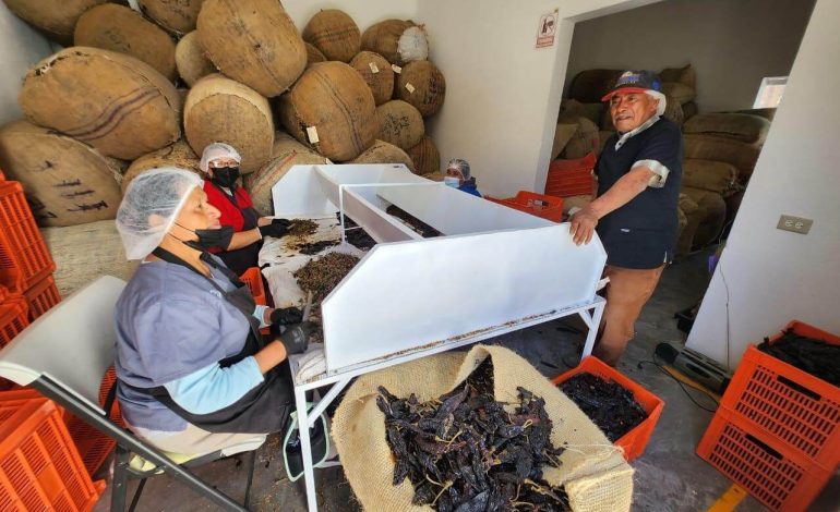 Guanajuato también gana en Ecuador