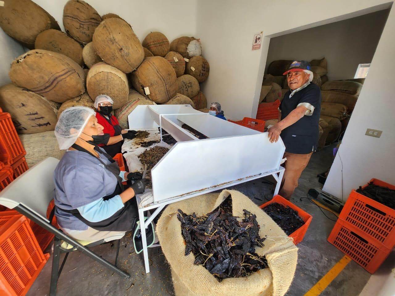 Guanajuato también gana en Ecuador