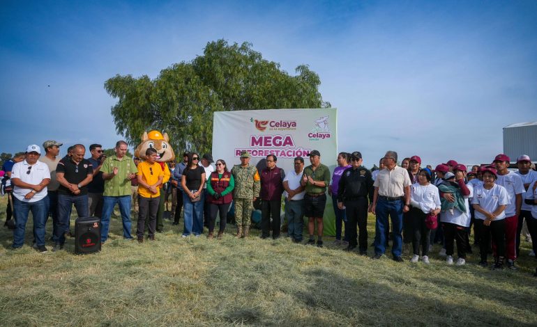 Plantan más de 3,000 árboles en la primera mega reforestación