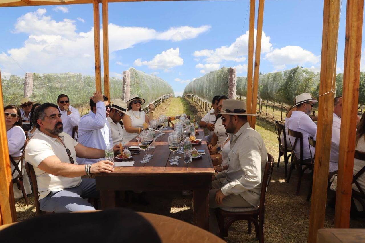 Guanajuato, el segundo estado más premiado de México por la calidad de sus vinos