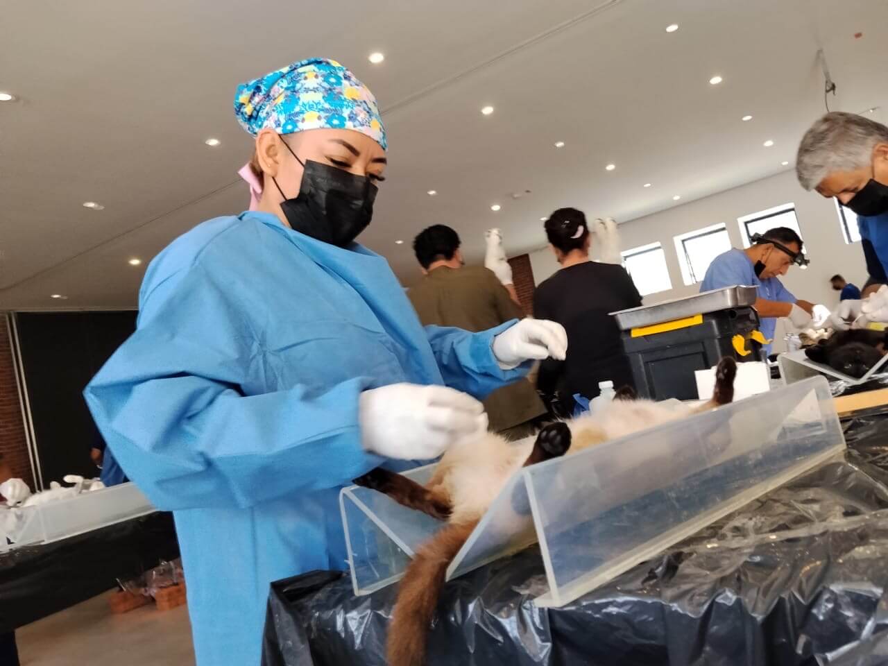 Municipio y Estado, llegan a más alcances en pro del bienestar animal
