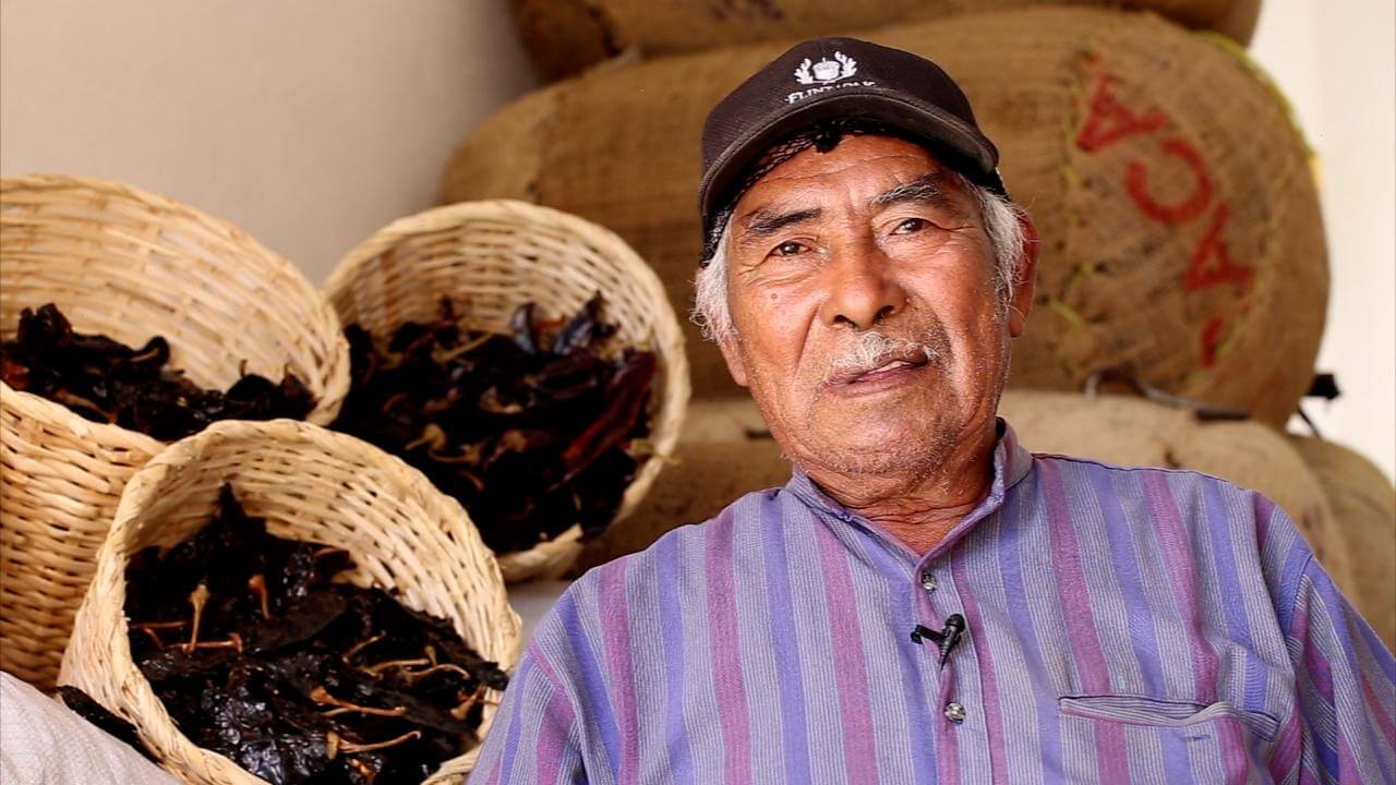 Guanajuato lleva la identidad de México al mundo